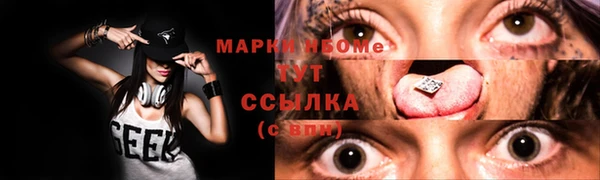 СК Алексин