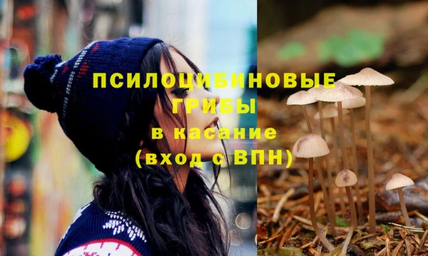 СК Алексин