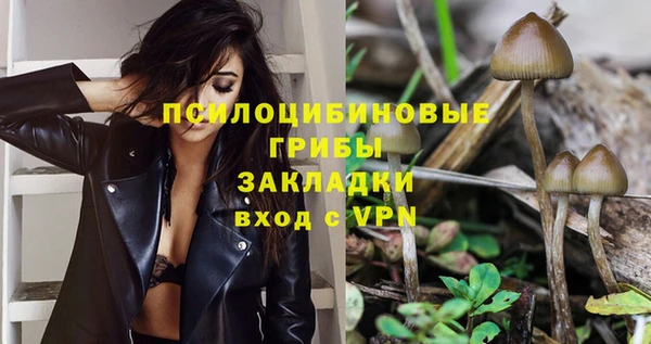 прущий лед Алексеевка