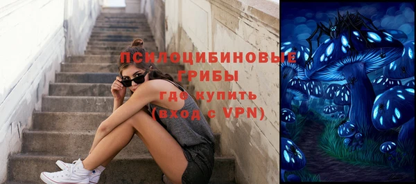 СК Алексин