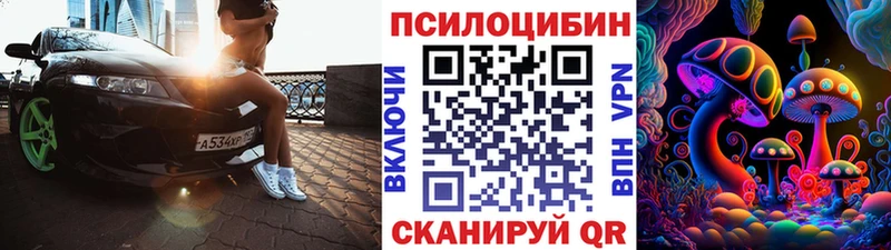 Псилоцибиновые грибы Psilocybine cubensis  Чёрмоз 